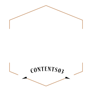 中古車情報